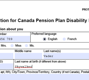 photo of CPPD application sheet